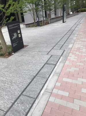 12036588188577.jpg