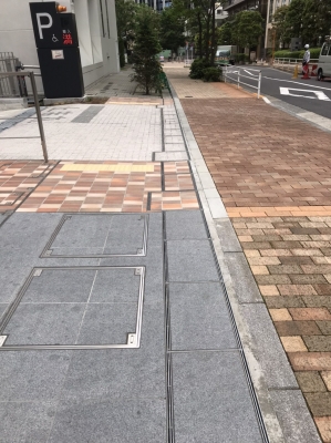 12036588267230.jpg