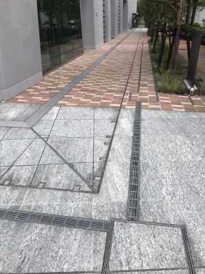 12036588349024.jpg