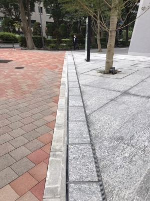 12036588414869.jpg
