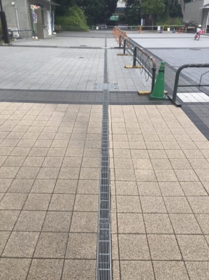 12234399450259.jpg