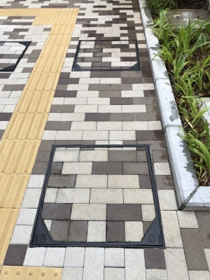 56FEAC68-F099-45F3-ACCD-FBE514070C4C.jpeg