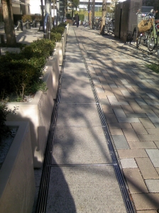DCF_0038.JPG