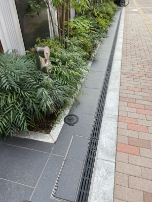 F800C619-528E-4558-AEC1-62658CA48494.jpeg