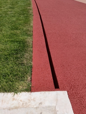 IMG20200626134420.jpg