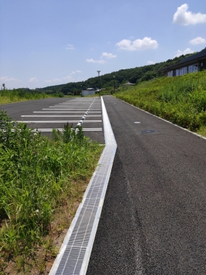 IMG20210615113727.jpg